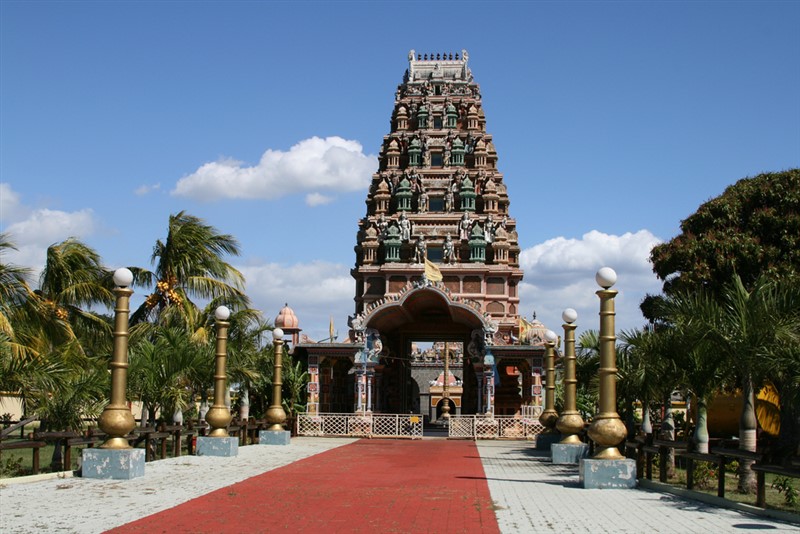 Slide Image
