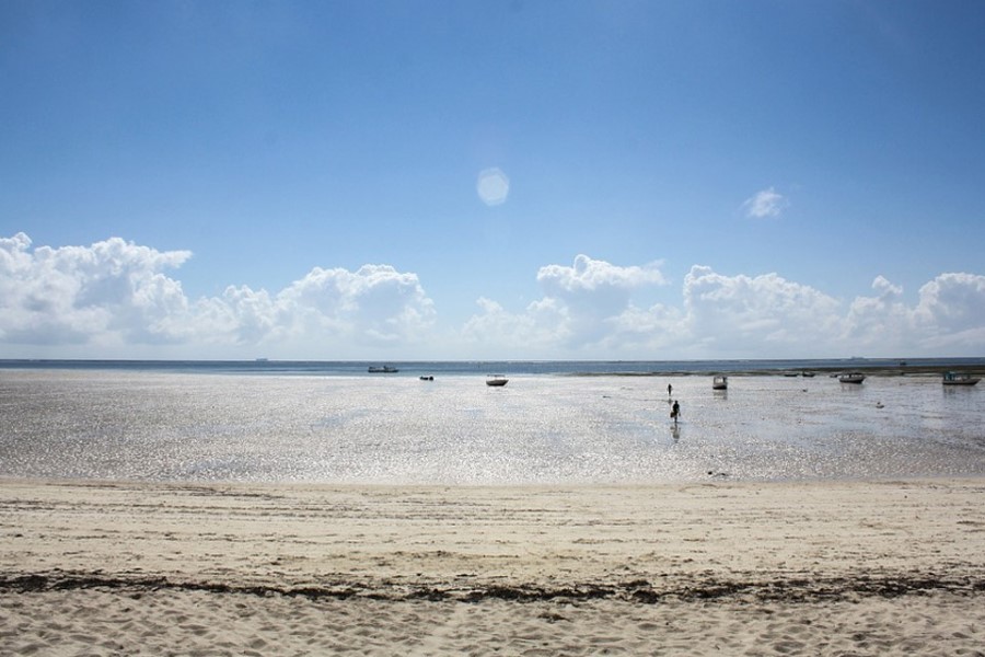Slide Image