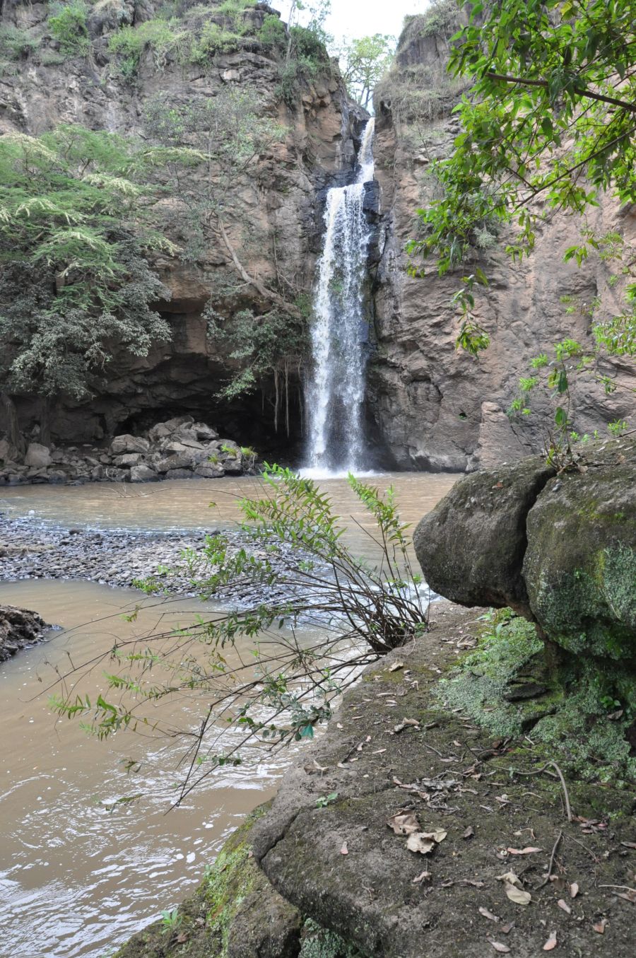 Slide Image