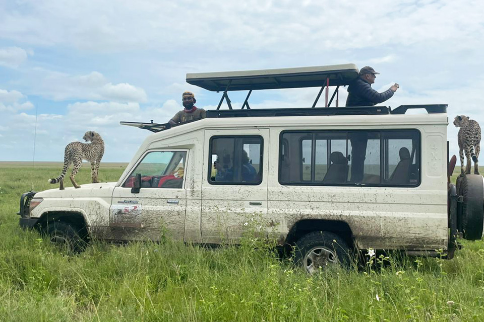 Slide Image