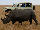 Africa Travel Association World Congress